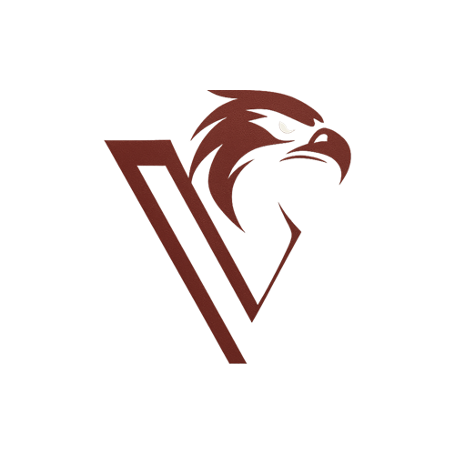 V-EAGLE Team Logo